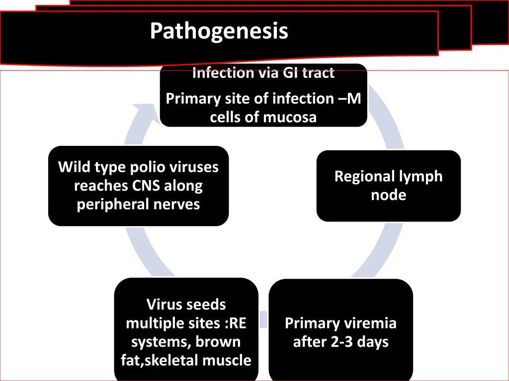 pathogenesis