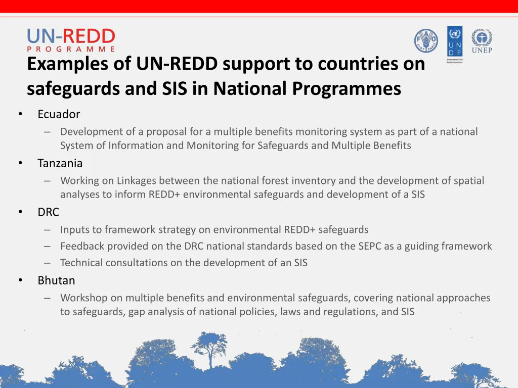 examples of un redd support to countries