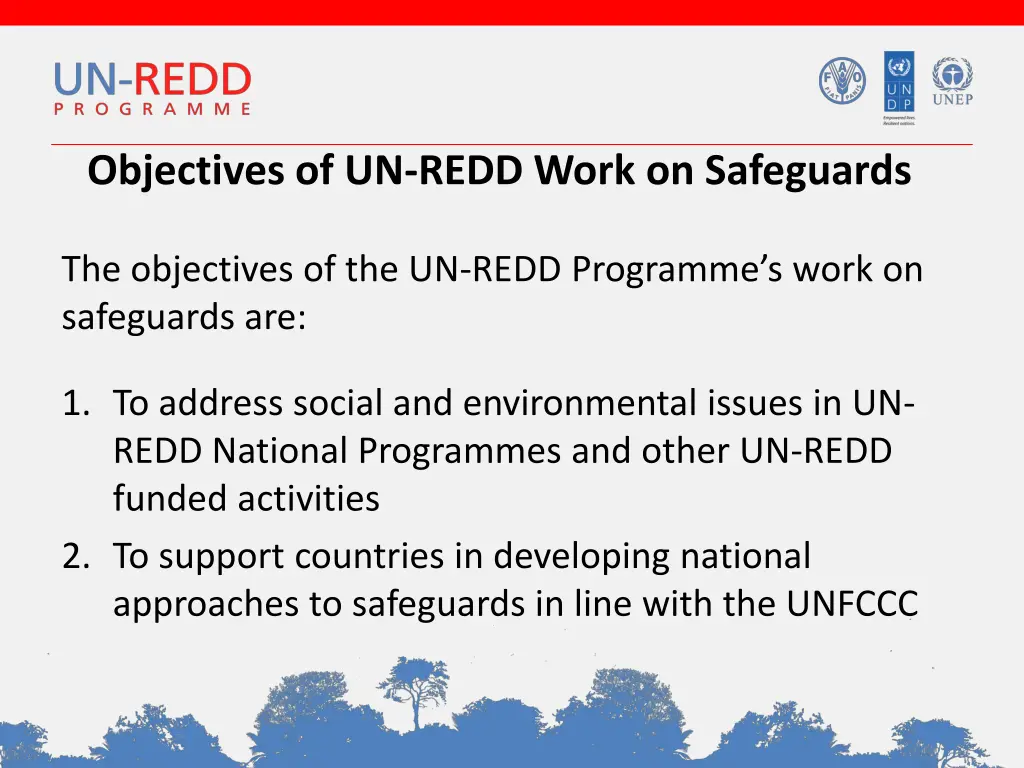 objectives of un redd work on safeguards