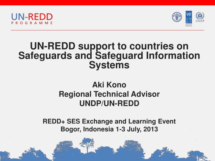 un redd support to countries on safeguards