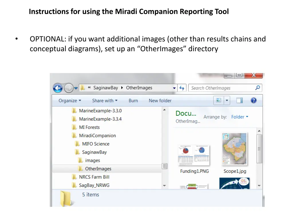 instructions for using the miradi companion 2