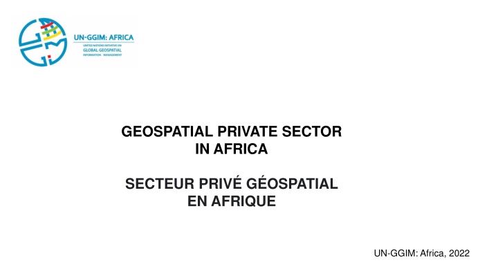 geospatial private sector in africa