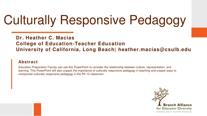 culturally responsive pedagogy