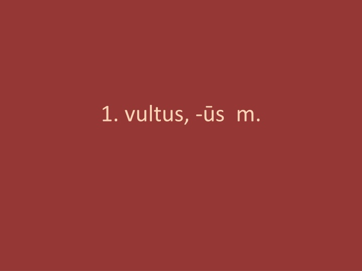 1 vultus s m