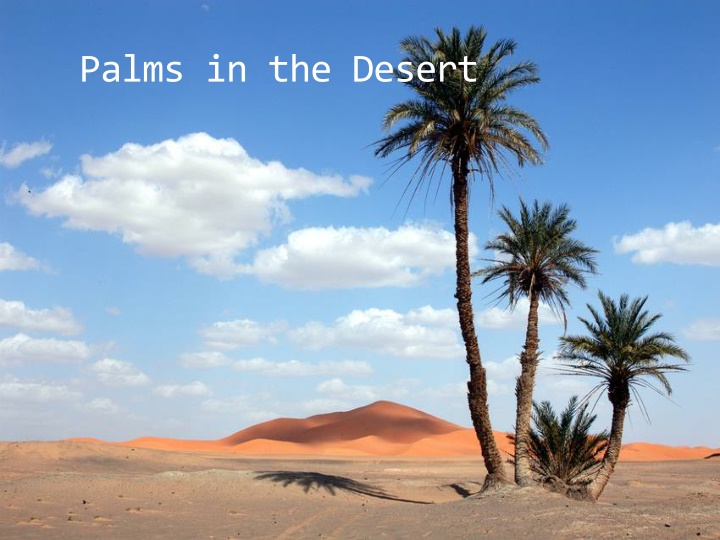 palms in the desert