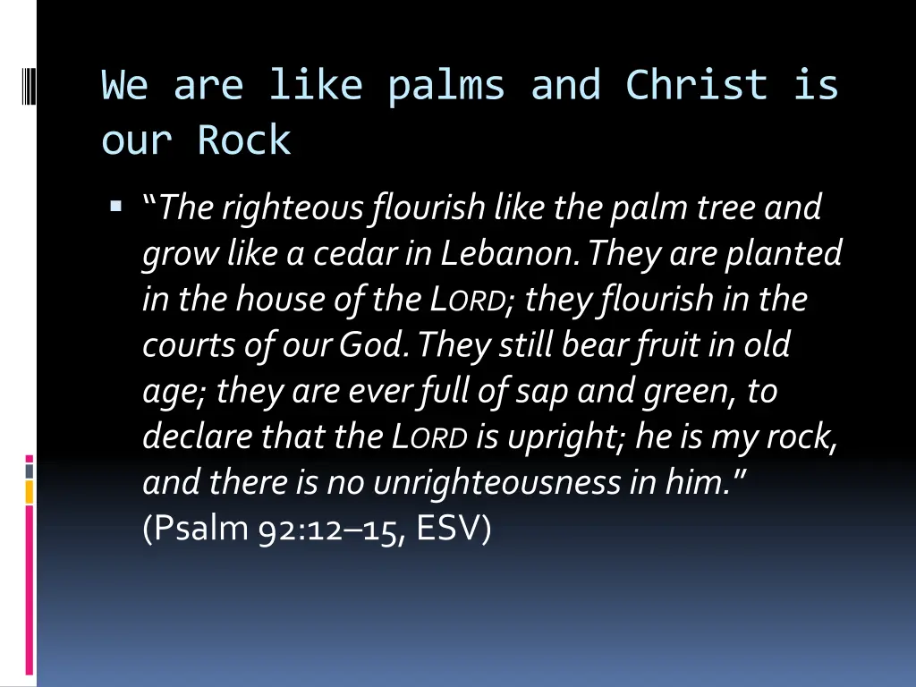 we are like palms and christ is our rock