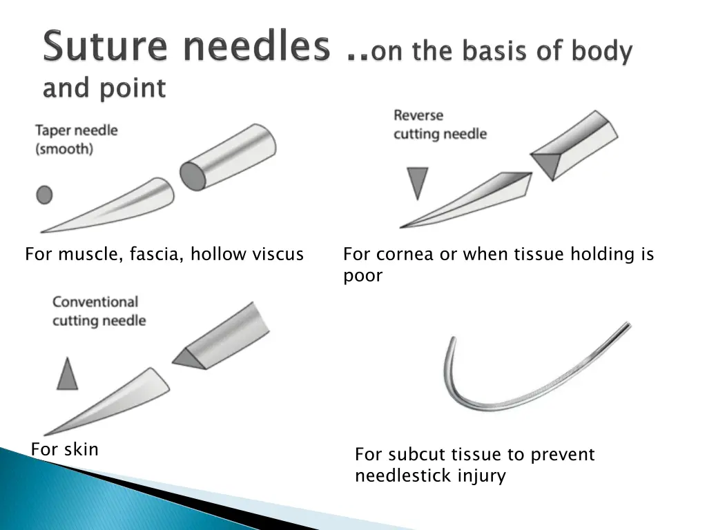 for muscle fascia hollow viscus