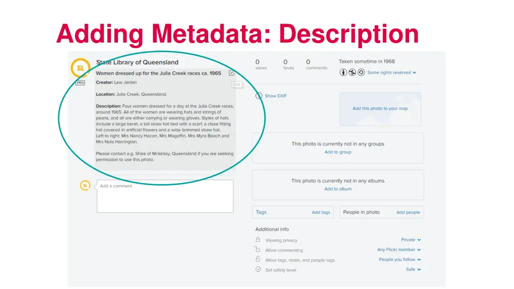 adding metadata description