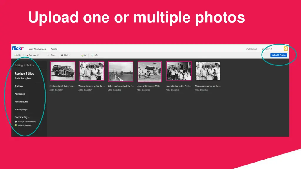 upload one or multiple photos