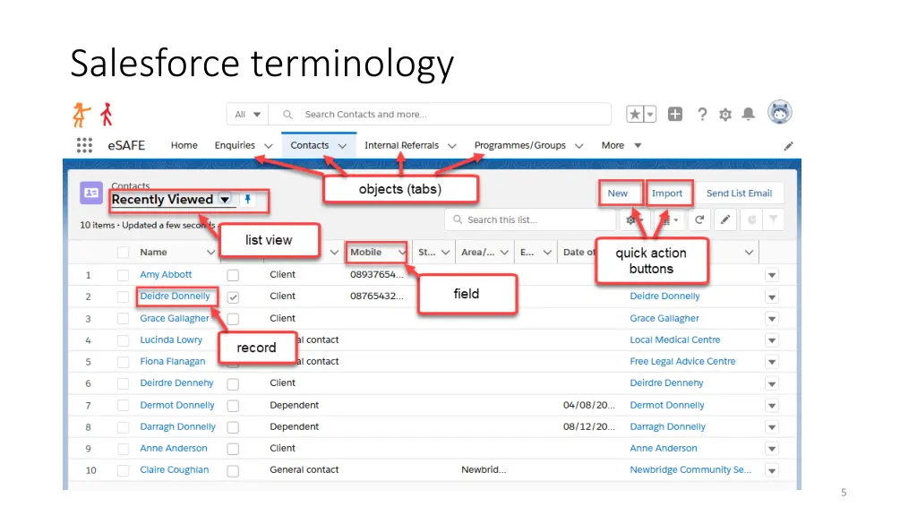 salesforce terminology