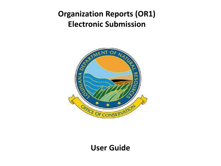 organization reports or1 electronic submission