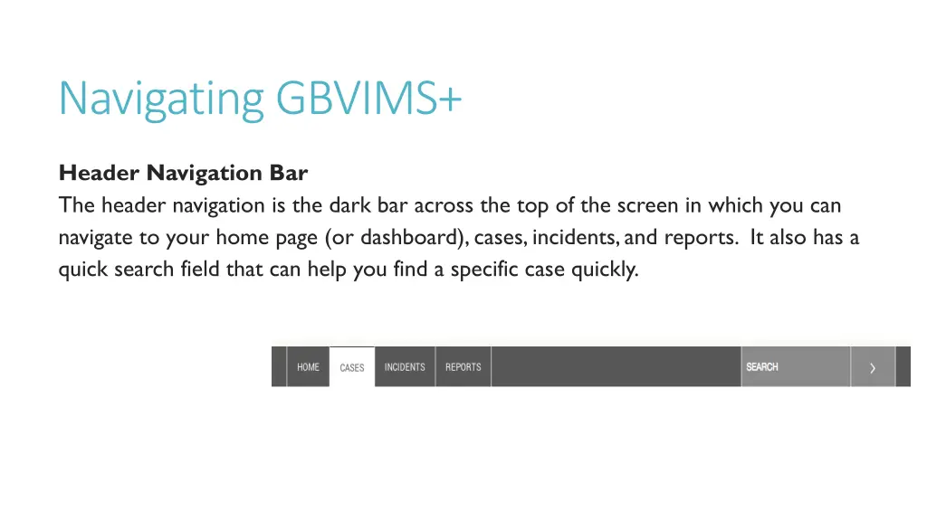 navigating gbvims 2