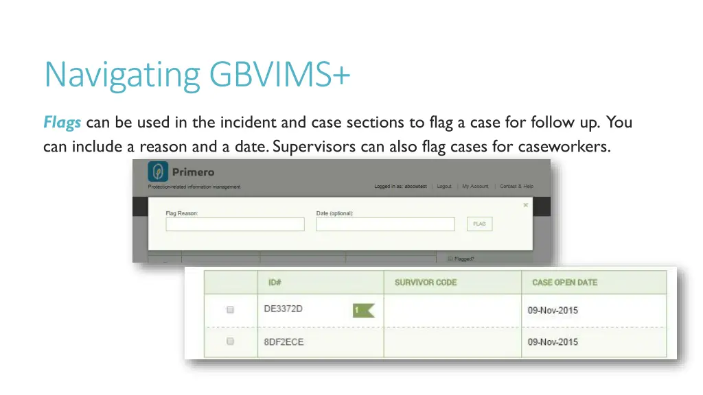 navigating gbvims 8