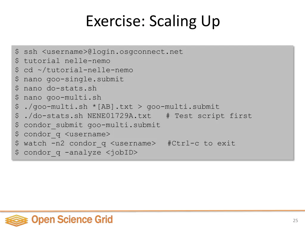 exercise scaling up