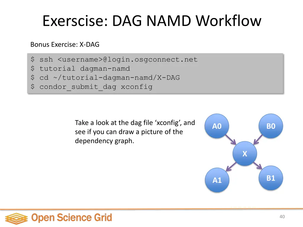 exerscise dag namd workflow 1