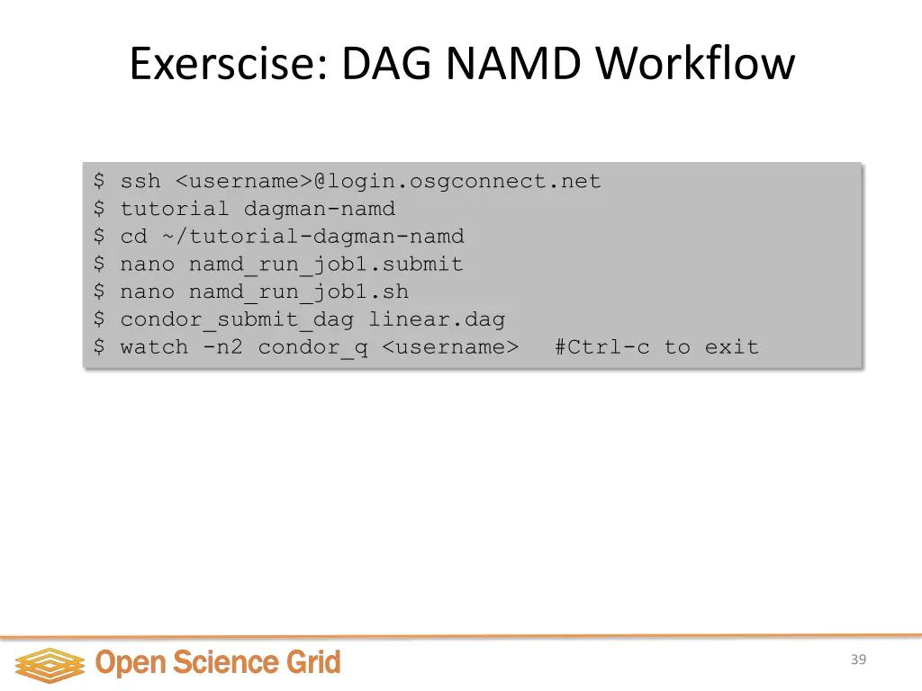 exerscise dag namd workflow