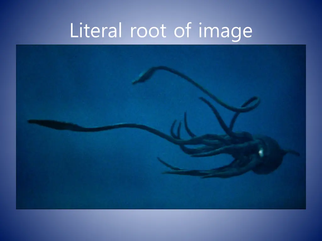 literal root of image 2