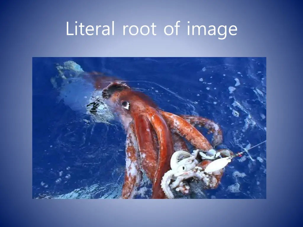 literal root of image