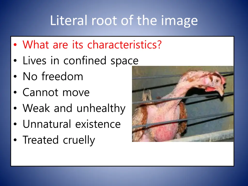 literal root of the image