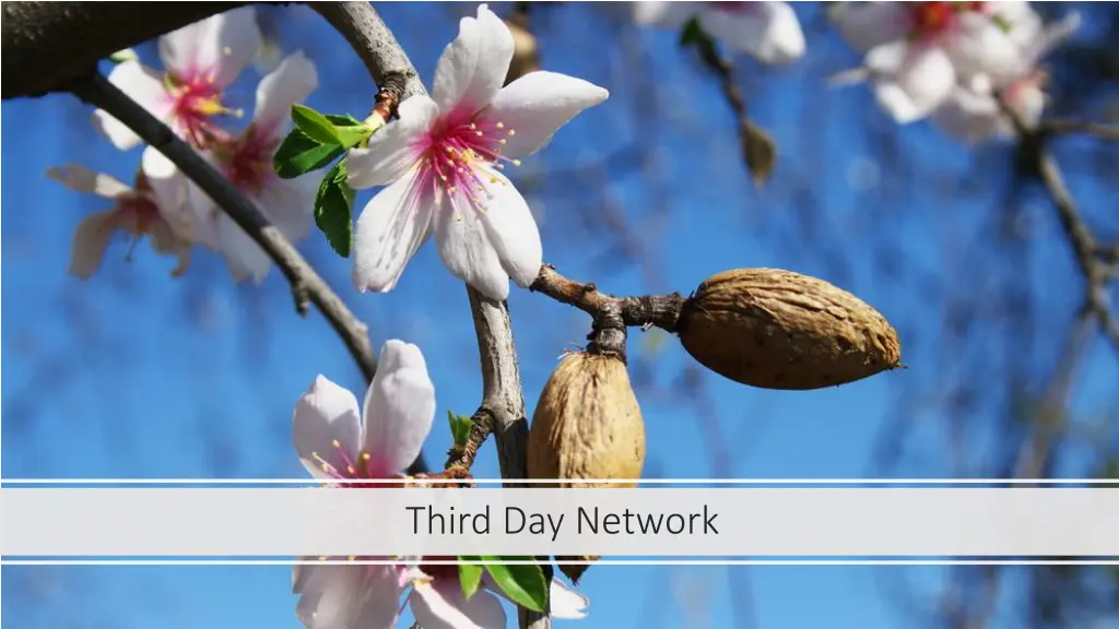 third day network