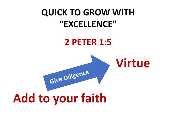 quick to grow with excellence