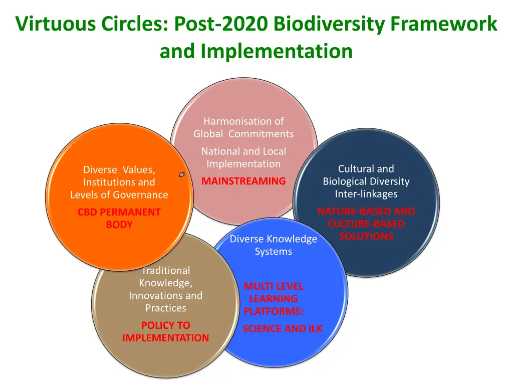 virtuous circles post 2020 biodiversity framework