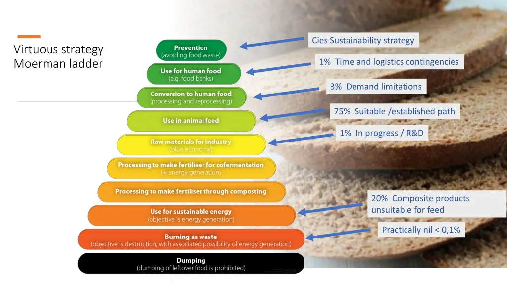 cies sustainability strategy