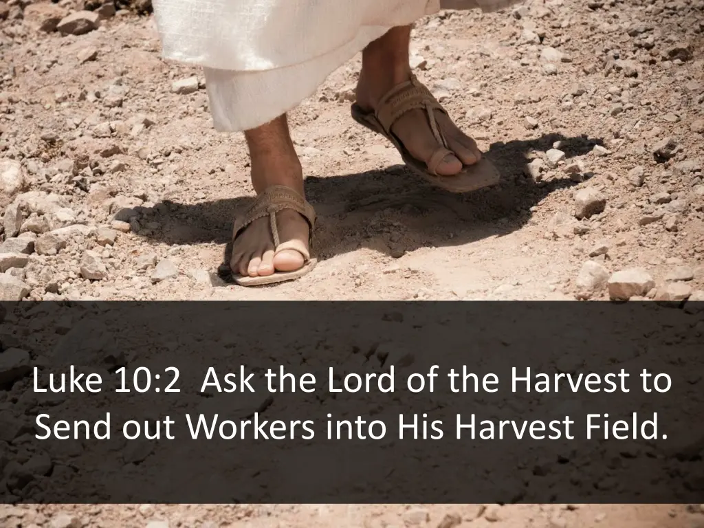 luke 10 2 ask the lord of the harvest to send