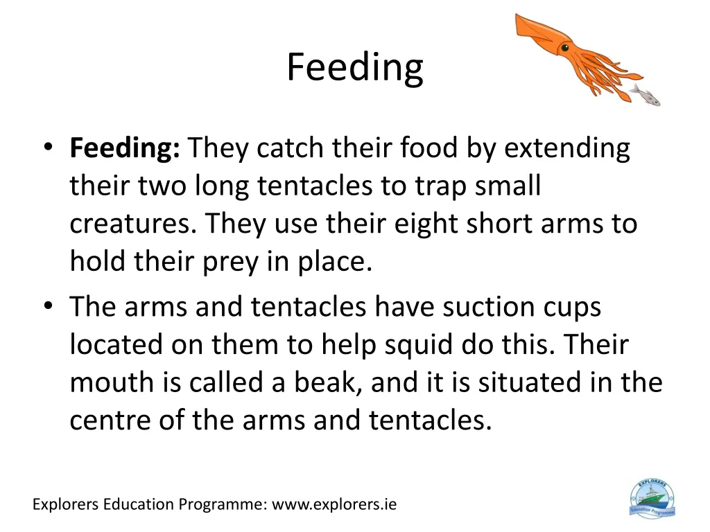 feeding