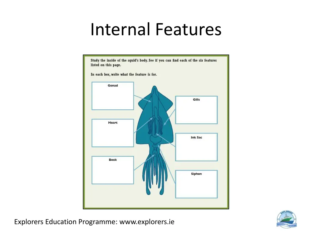 internal features