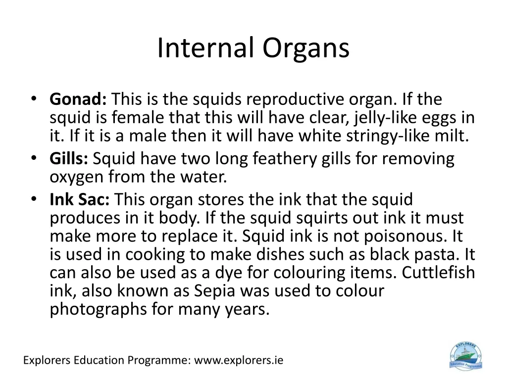 internal organs