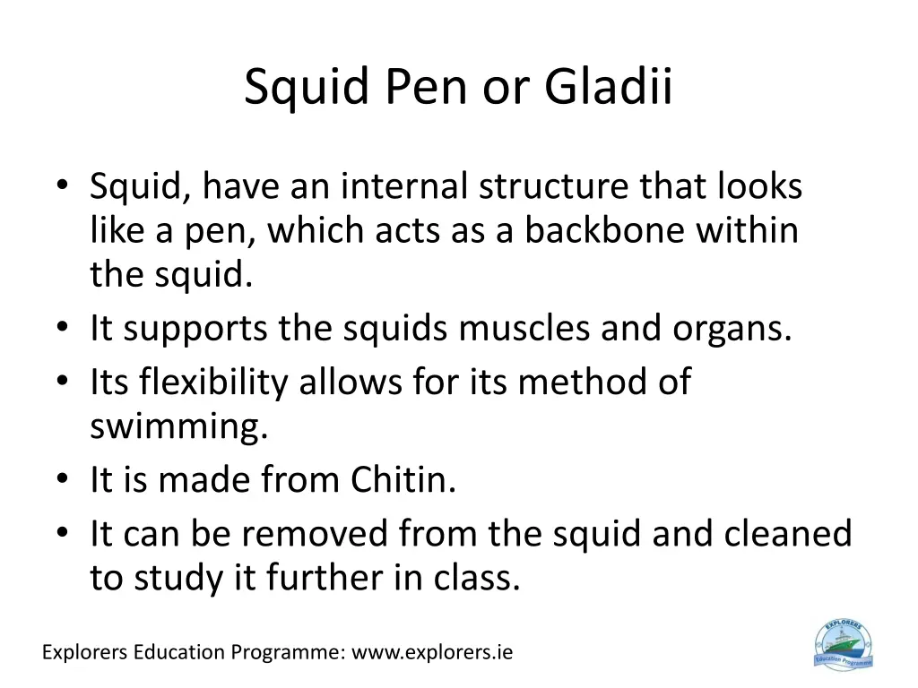 squid pen or gladii