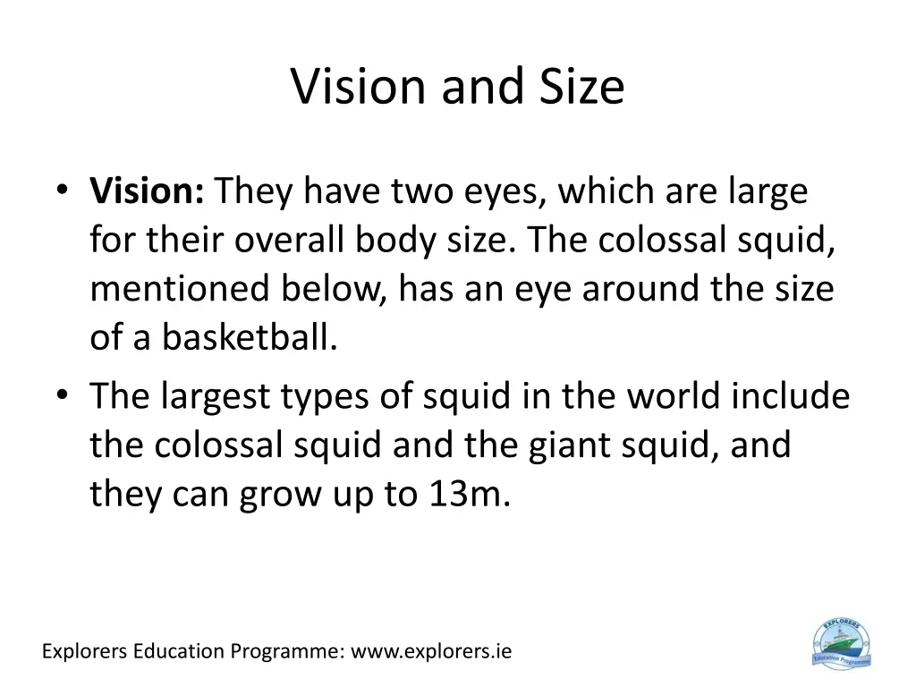 vision and size