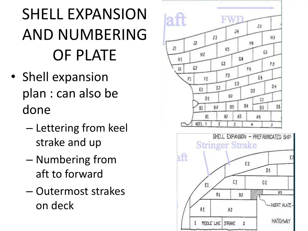 shell expansion and numbering of plate shell