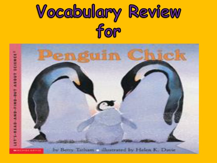 vocabulary review for