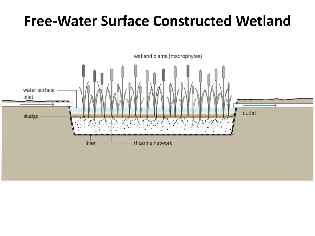 free water surface constructed wetland