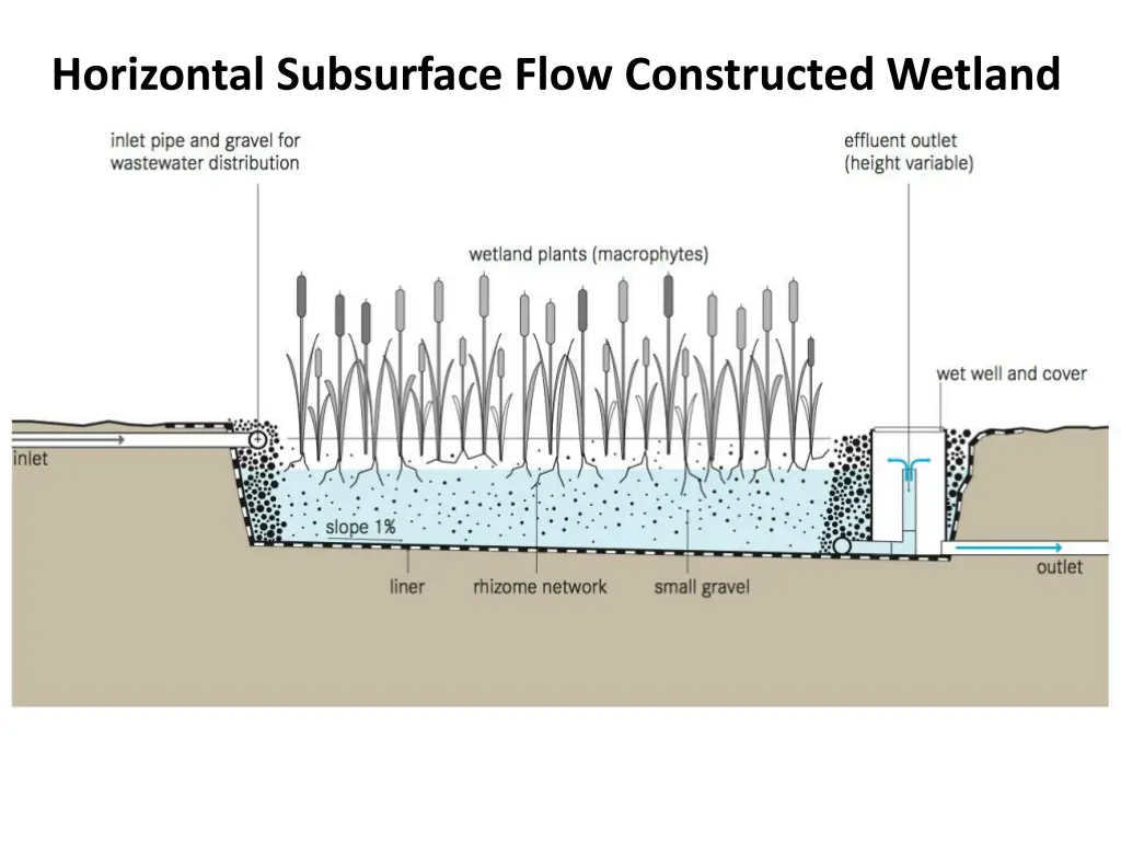 horizontal subsurface flow constructed wetland