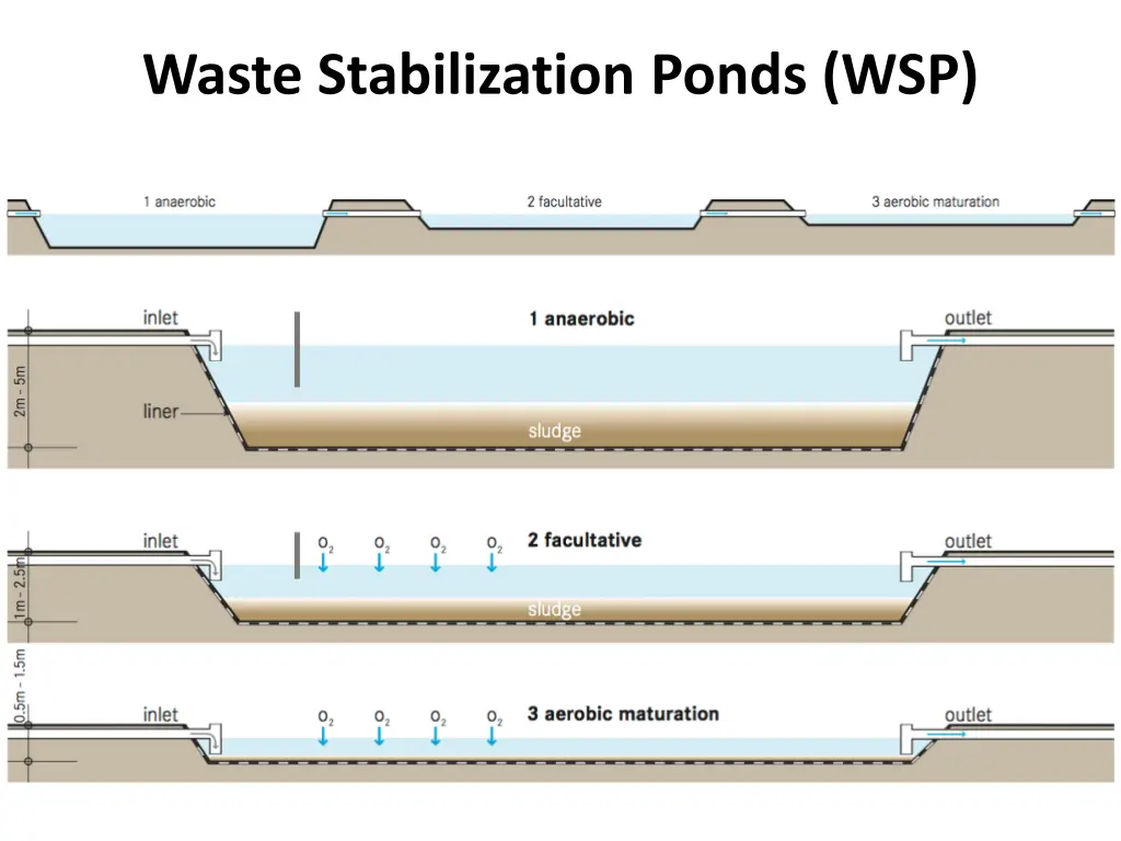 waste stabilization ponds wsp