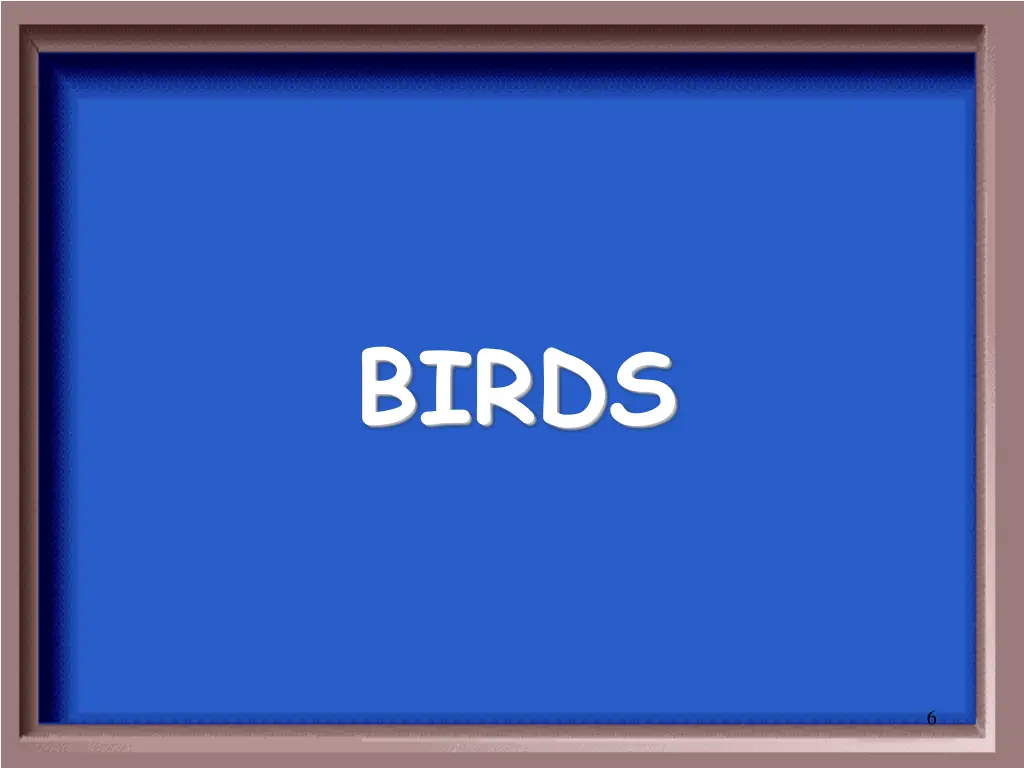 birds