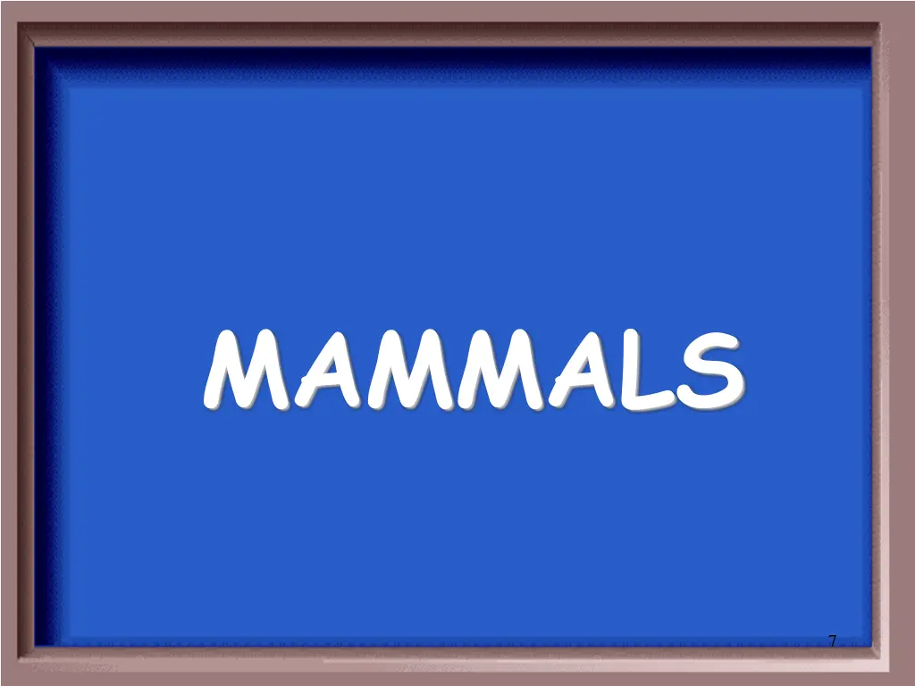 mammals