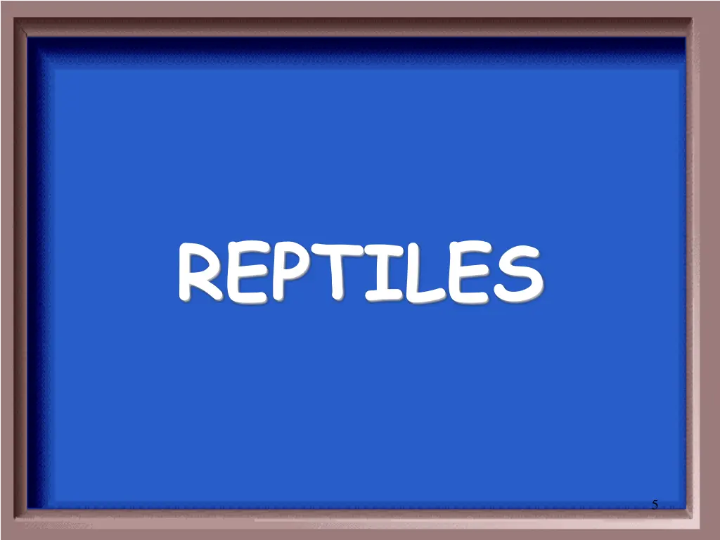 reptiles