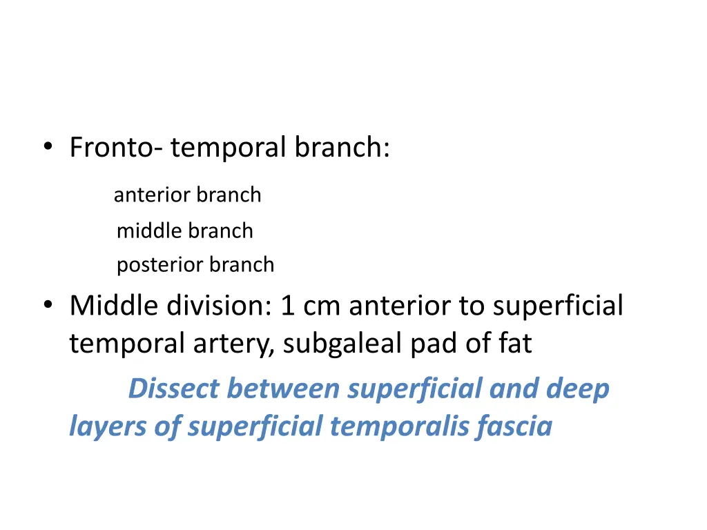 fronto temporal branch