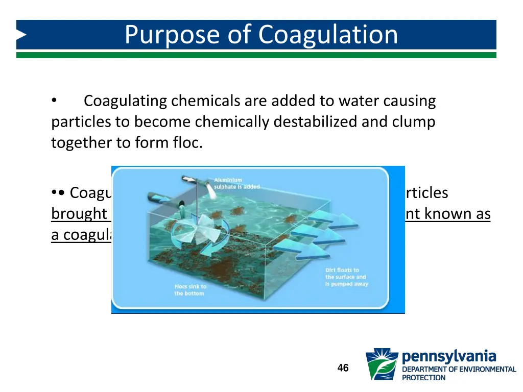 purpose of coagulation