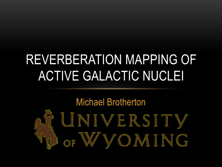 reverberation mapping of active galactic nuclei