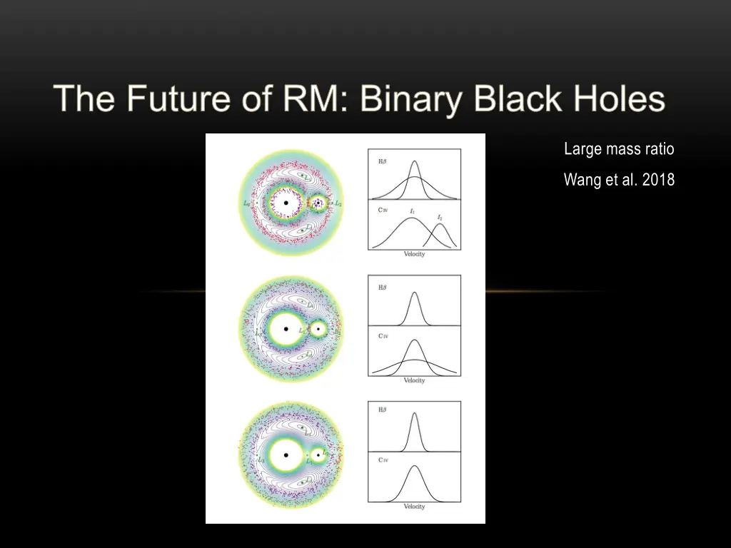 the future of rm binary black holes 2