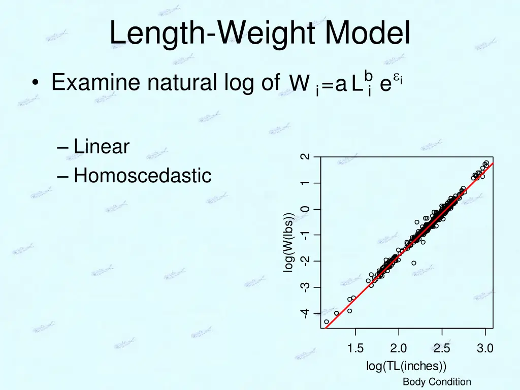 length weight model 2