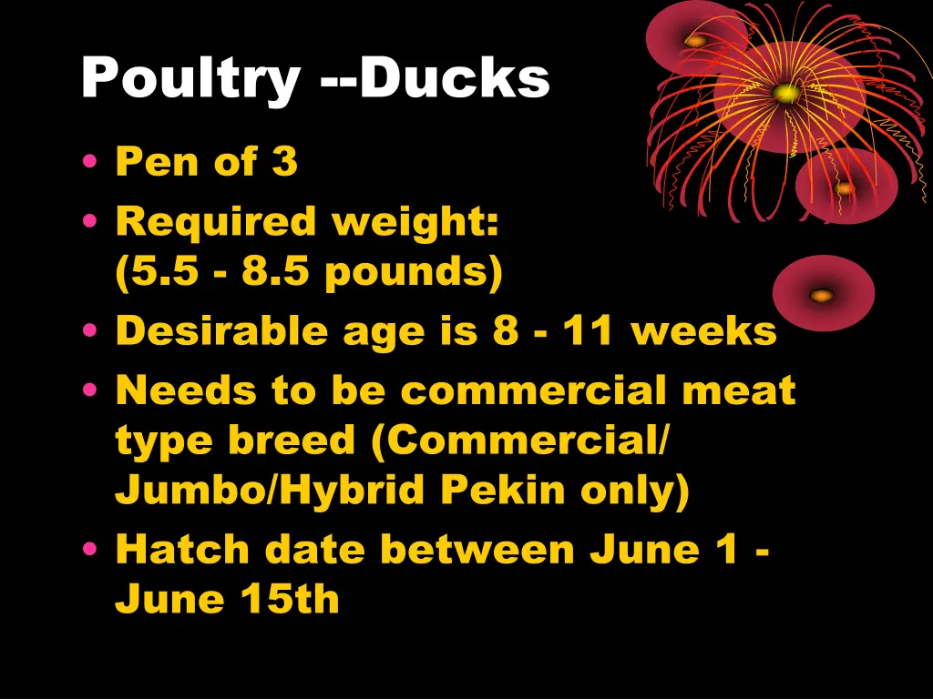 poultry ducks pen of 3 required weight