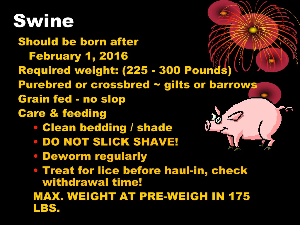 swine should be born after february 1 2016