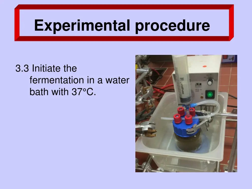 experimental procedure 1