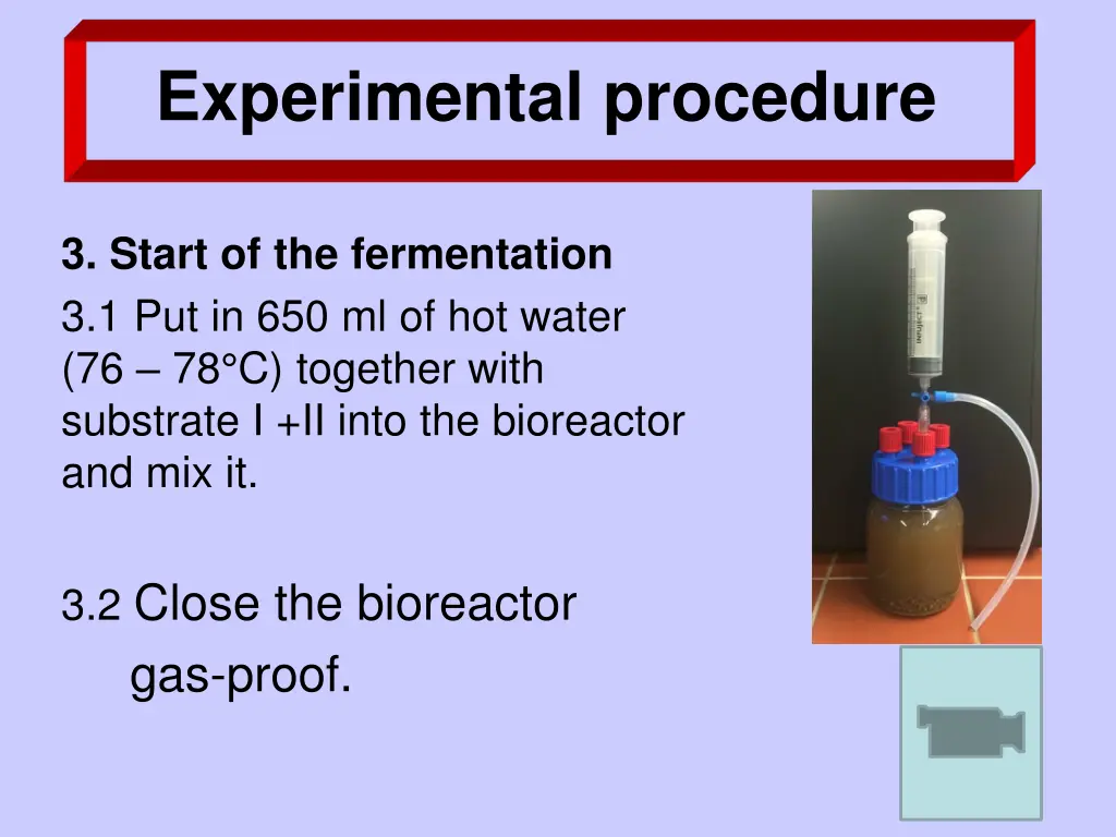 experimental procedure